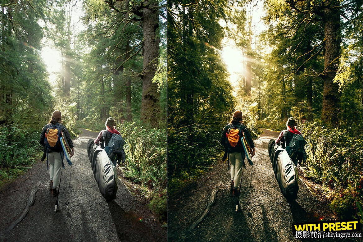 旅拍电影风光LR预设手机LR预设 Forest Green Lightroom Presets
