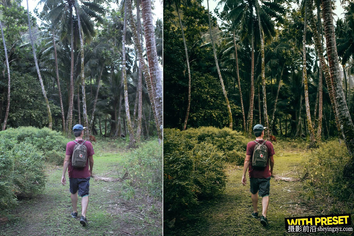 旅拍电影风光LR预设手机LR预设 Forest Green Lightroom Presets