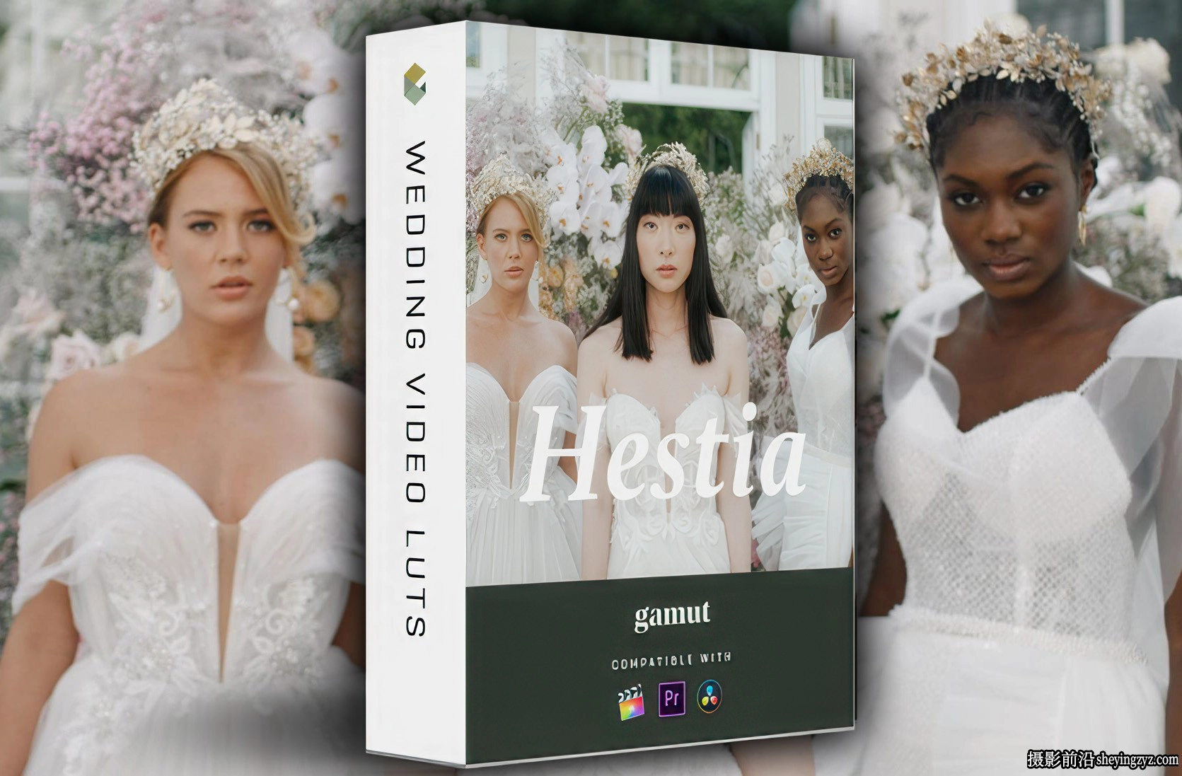 6种朴实优雅精致电影婚礼调色后期LUT预设 Gamut LUT - Hestia
