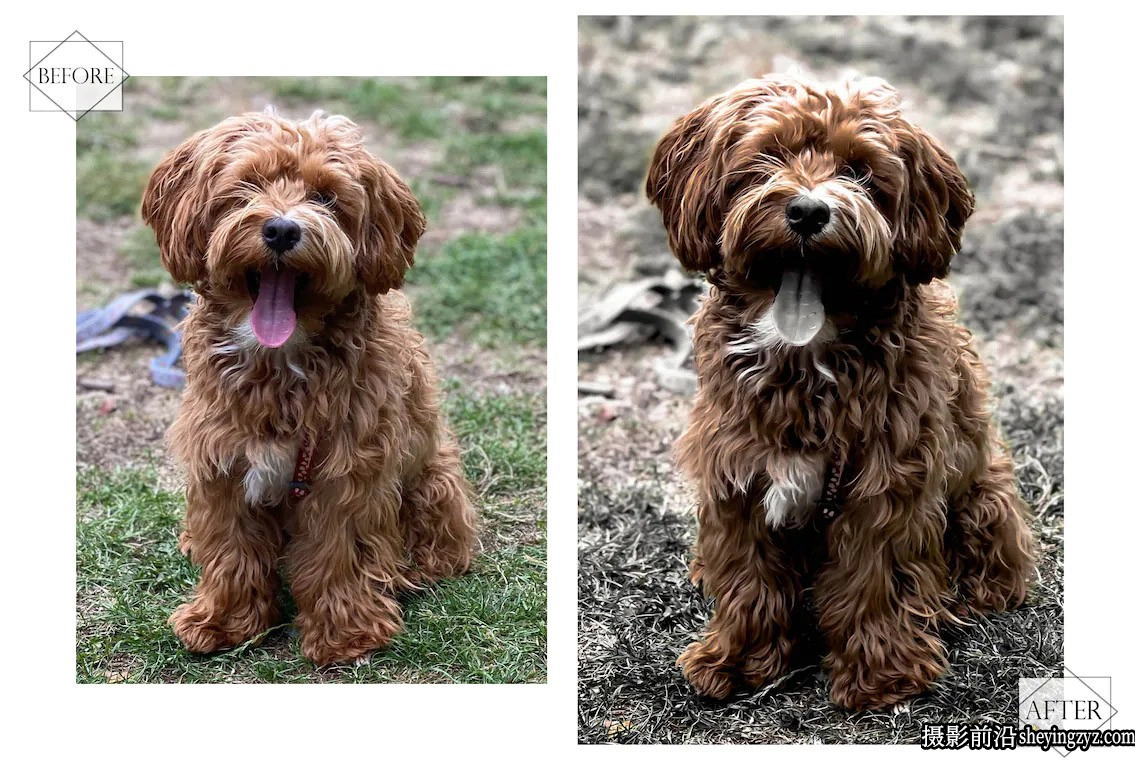 棕色情绪调色LR预设手机LR预设Bitter Chocolate Lightroom Presets