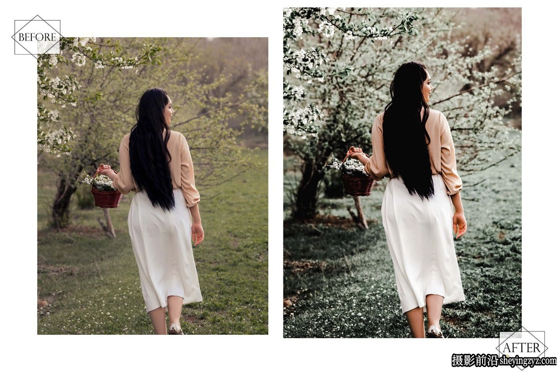 去饱和中性灰LR预设手机LR预设 Jungle Beauty Lightroom Presets