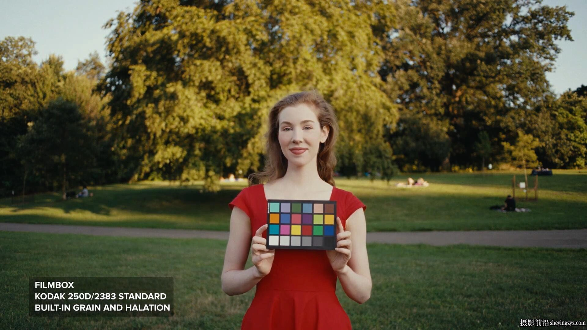 Filmbox Lut 官方完整版电影胶片模拟插件LUT版本+达芬奇DCTL插件