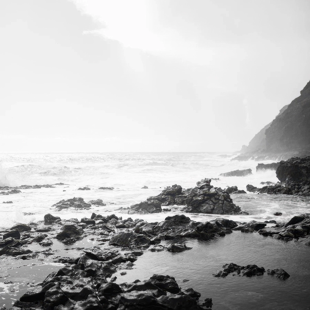 永恒黑白胶片LR预设The Archetype Process-TAP Monochrome Presets