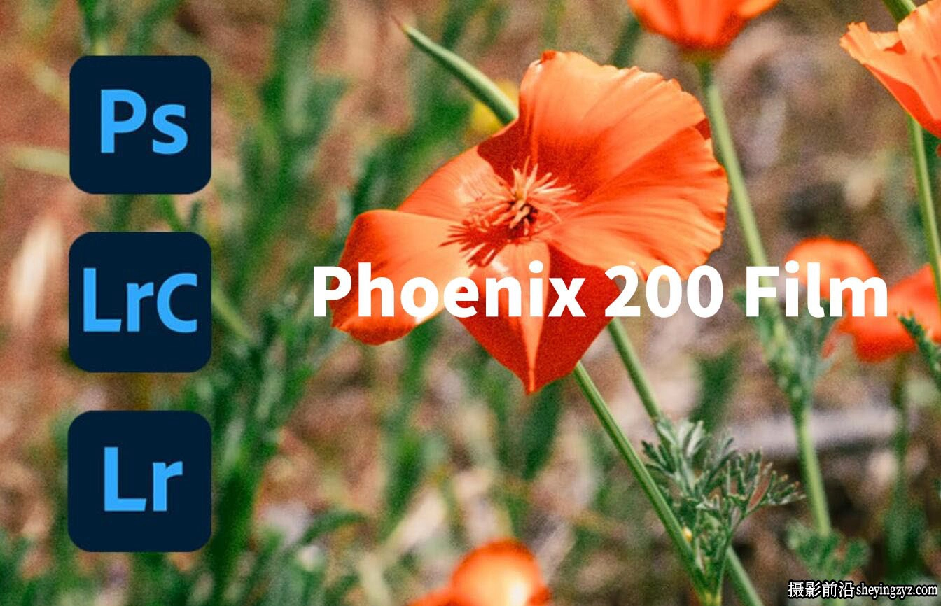 PHOENIX200彩色胶片仿真lr预设Film is Fun-Harman Phoenix 200 Film