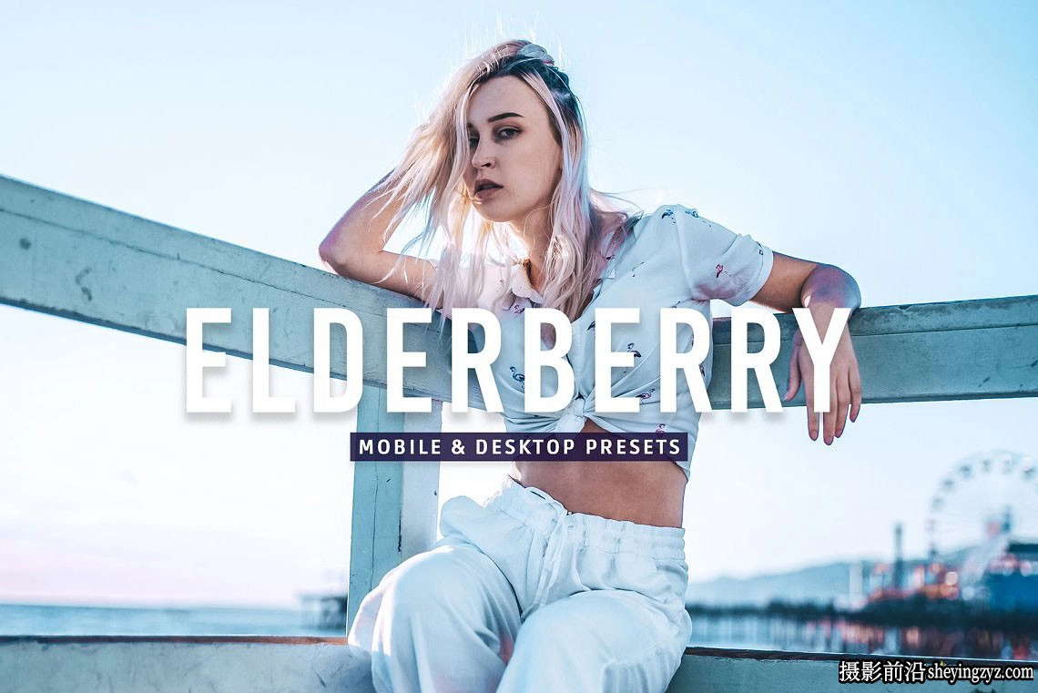 免费lr预设旅行街拍人像Lightroom预设 Elderberry Lightroom Presets