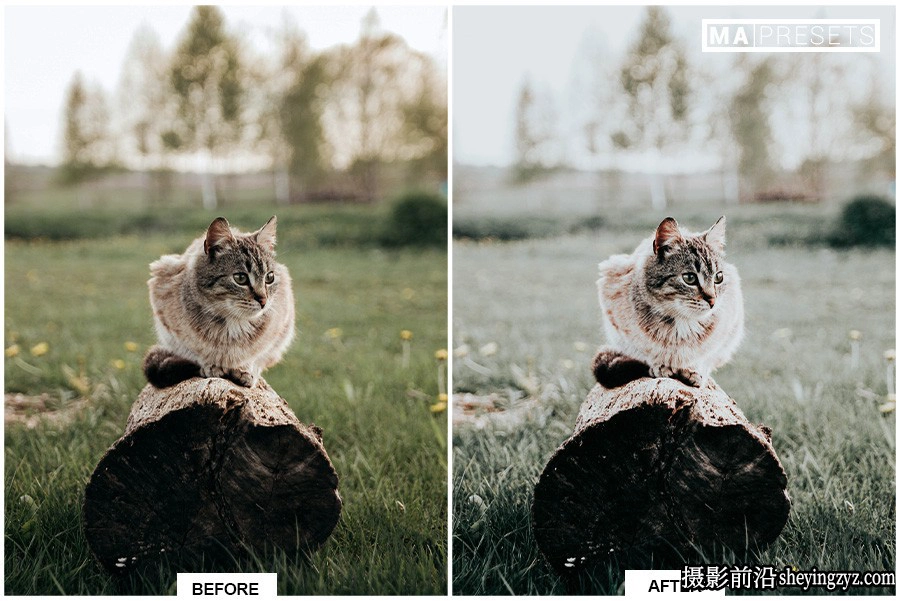旅行森系清新胶片lr预设手机预设 EVERGREEN Lightroom Presets