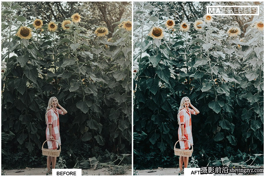 旅行森系清新胶片lr预设手机预设 EVERGREEN Lightroom Presets
