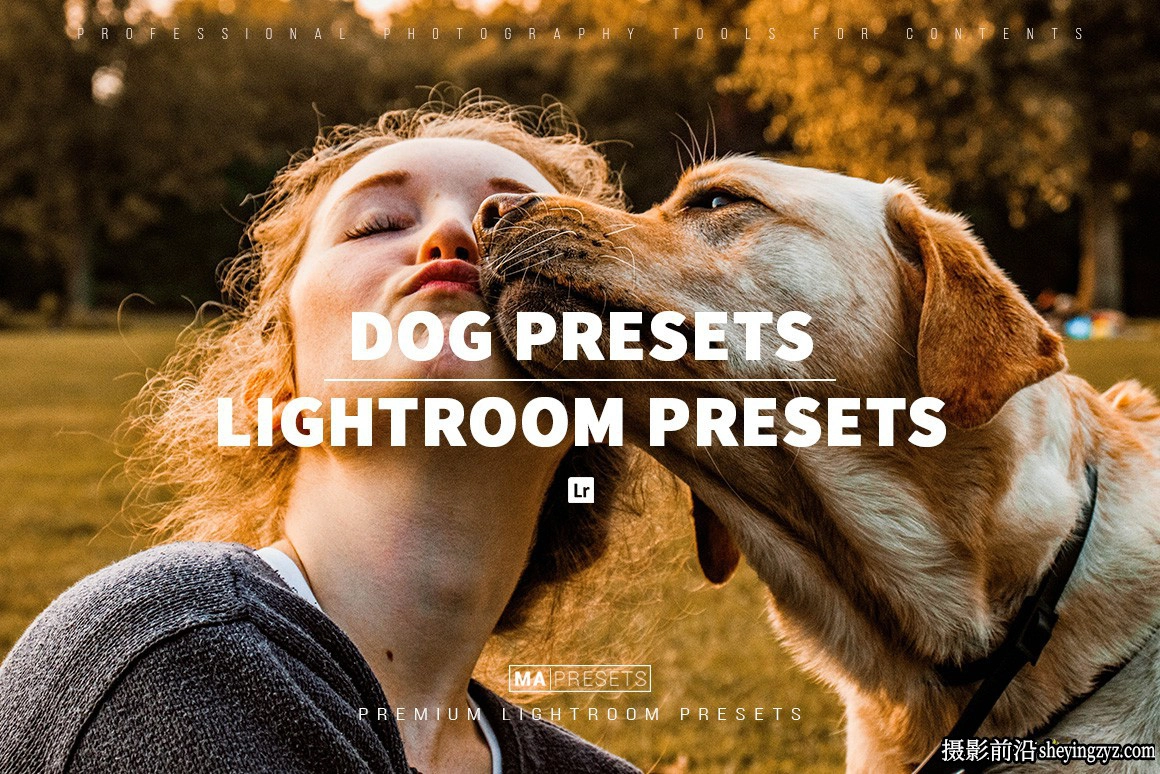 宠物狗狗摄影调色LR预设及手机版lr预设DOG – Lightroom Presets