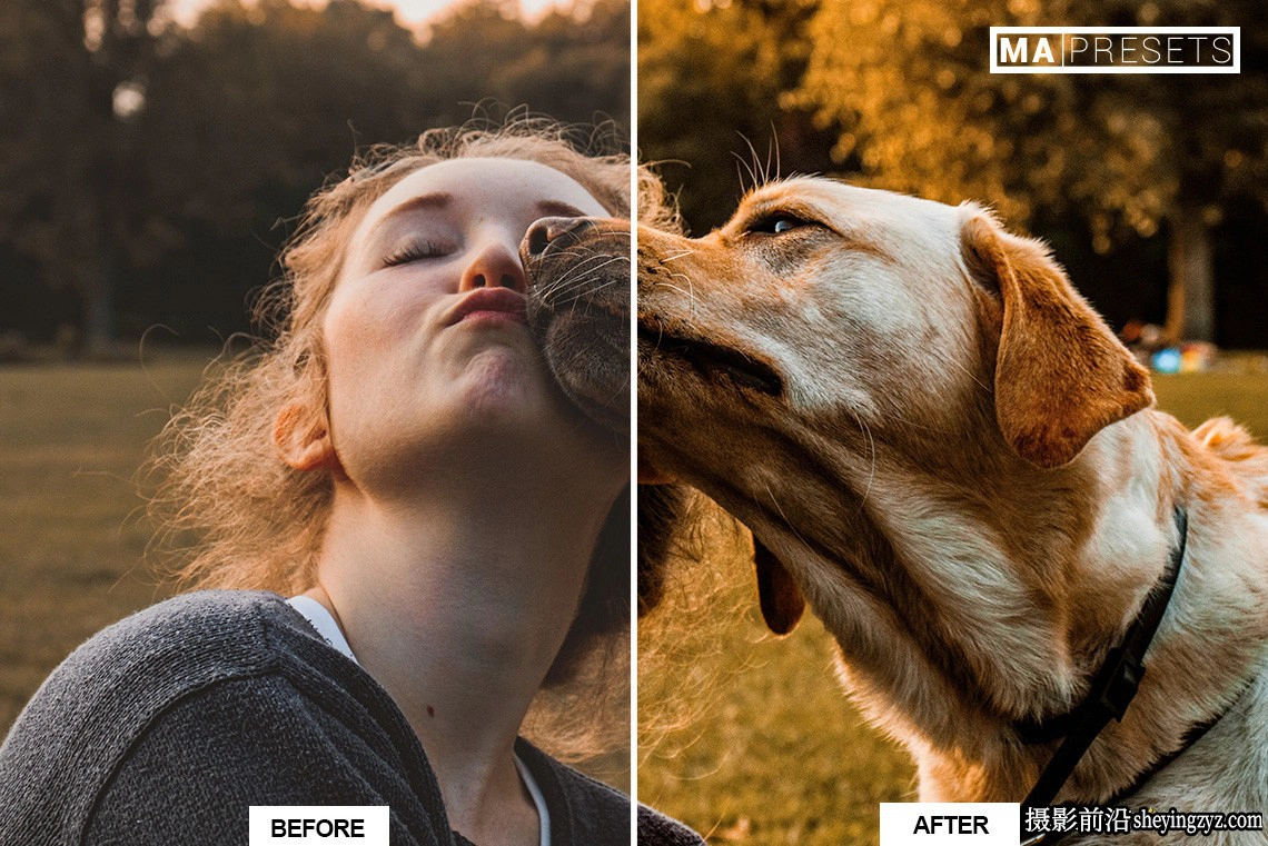 宠物狗狗摄影调色LR预设及手机版lr预设DOG – Lightroom Presets