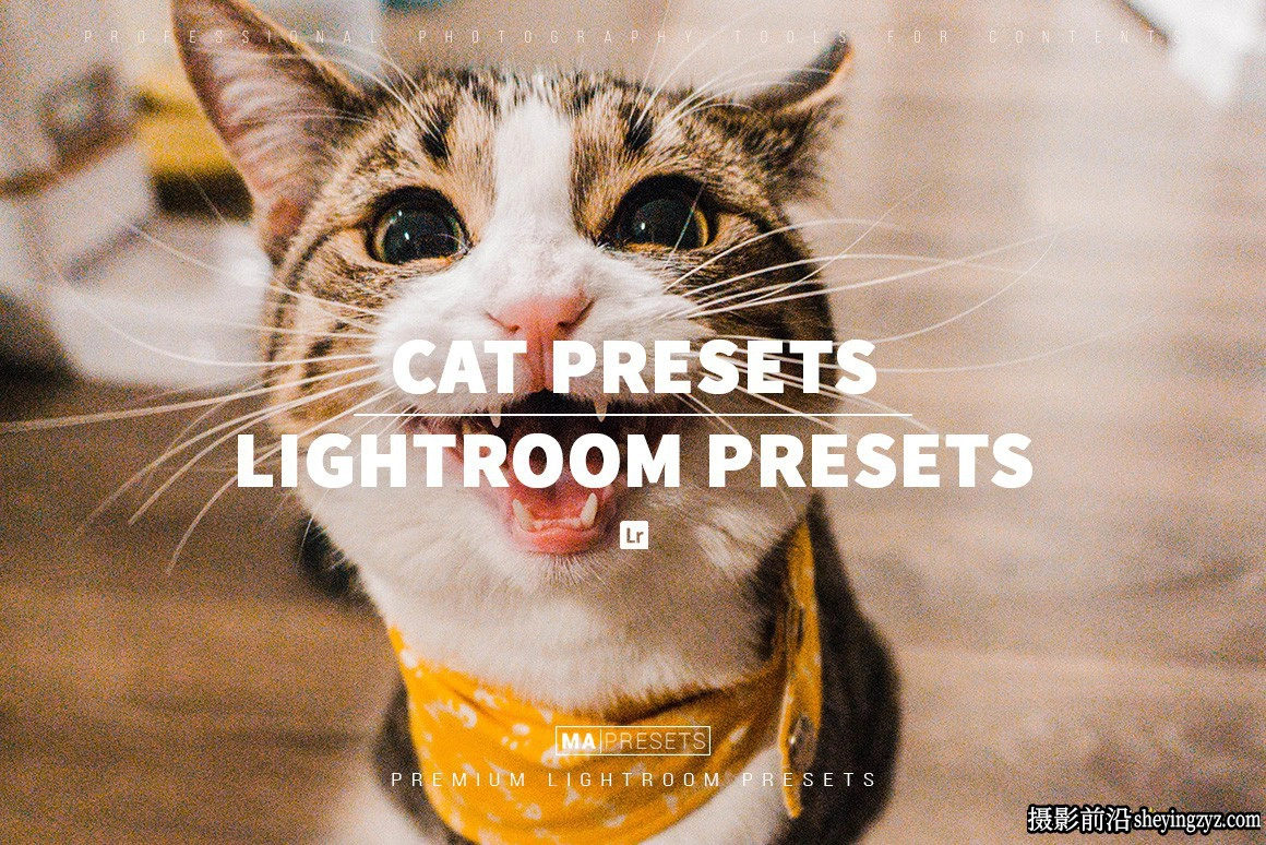 宠物猫咪摄影调色LR预设手机版lr预设 CAT – Lightroom Presets