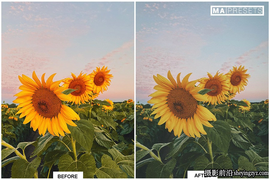 电影仿真胶片美学lr预设手机预设AESTHETIC FILM Lightroom Presets