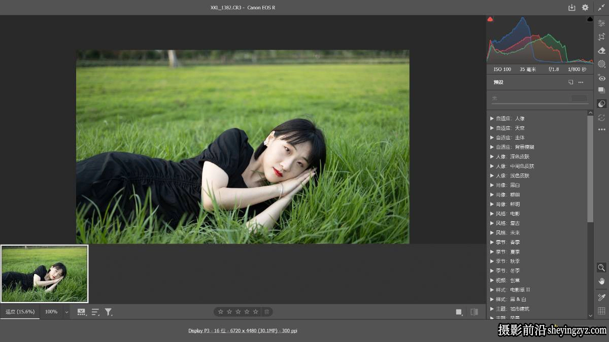 Adobe Camera Raw v17.4.2 正式版中文直装版WINx64