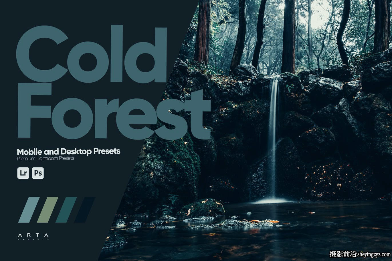 黑暗森林旅拍风光调色lr预设手机预设Cold Forest Lightroom Presets