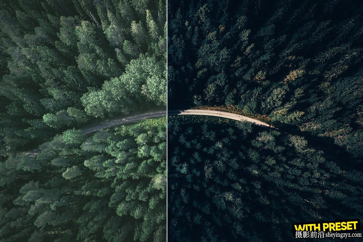 黑暗森林旅拍风光调色lr预设手机预设Cold Forest Lightroom Presets