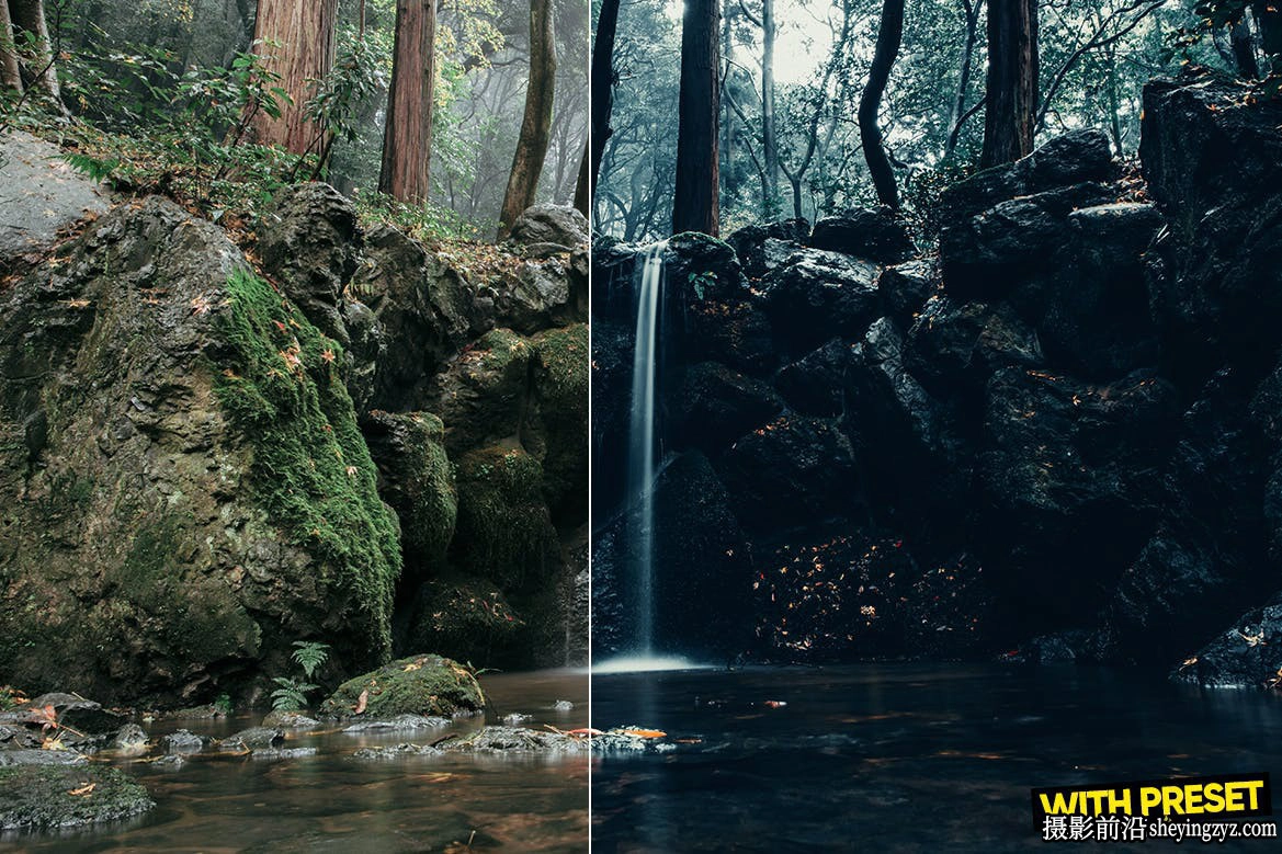黑暗森林旅拍风光调色lr预设手机预设Cold Forest Lightroom Presets