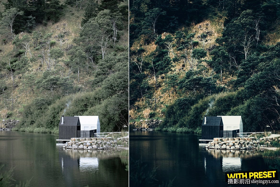 黑暗森林旅拍风光调色lr预设手机预设Cold Forest Lightroom Presets