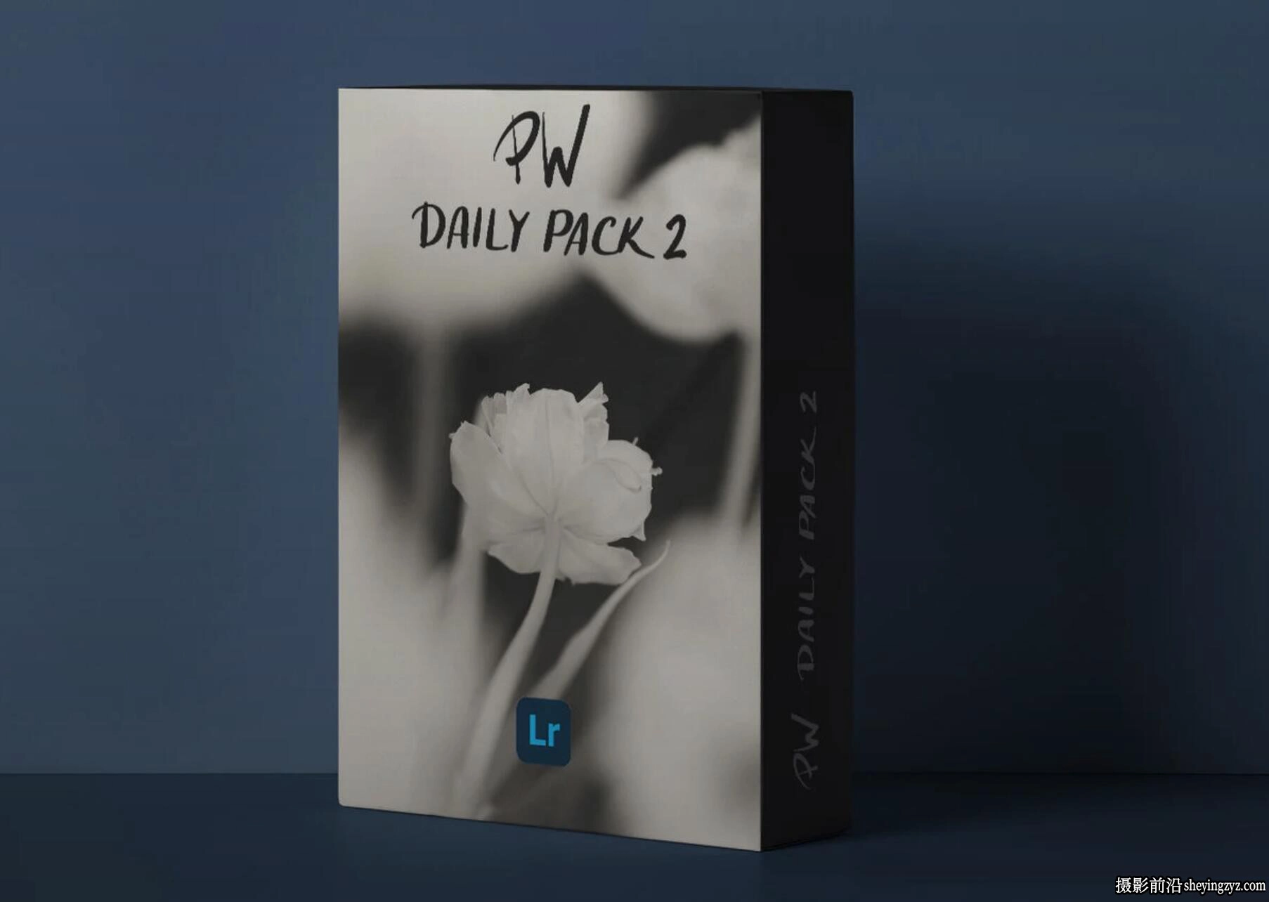 复古电影胶片美学预设 Polina Washington-PW DAILY PACK 2 Presets