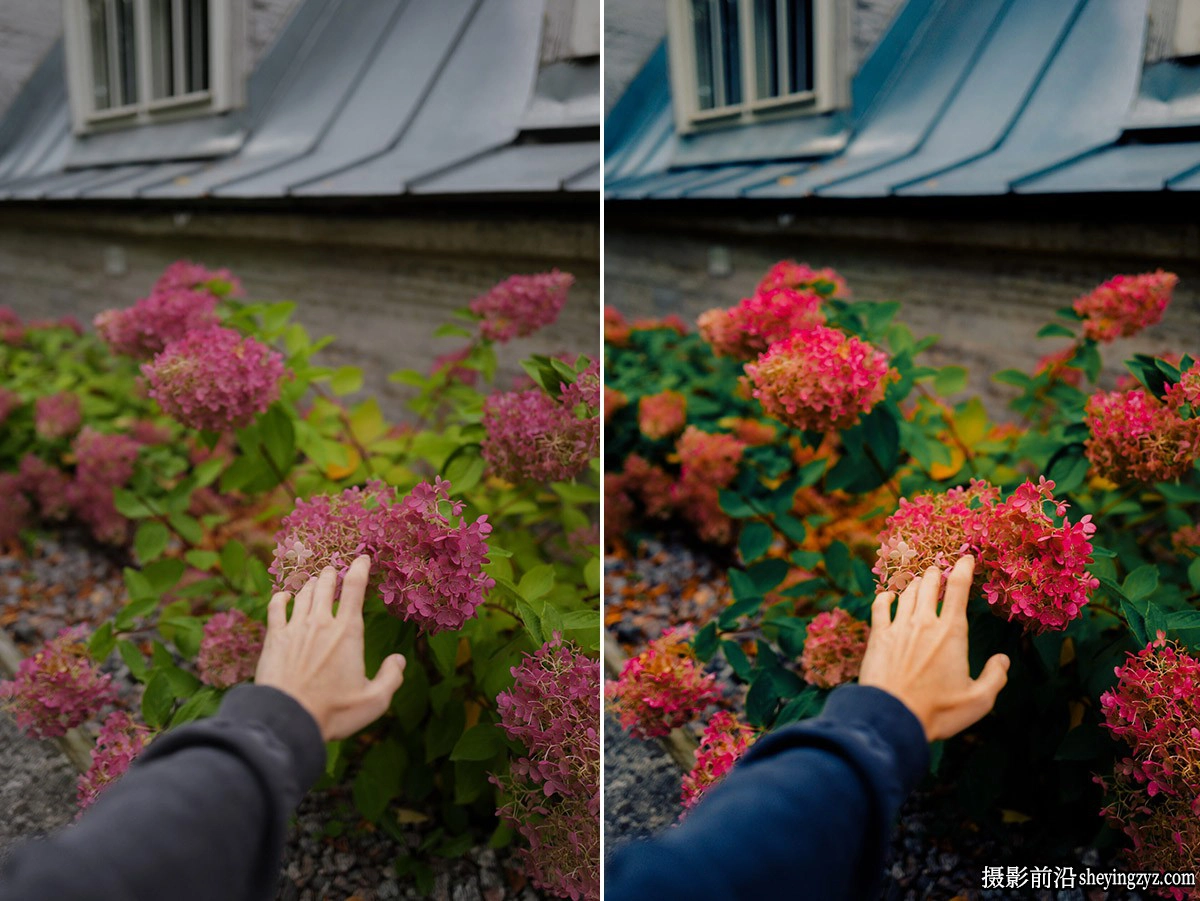 复古电影胶片美学预设 Polina Washington-PW DAILY PACK 2 Presets