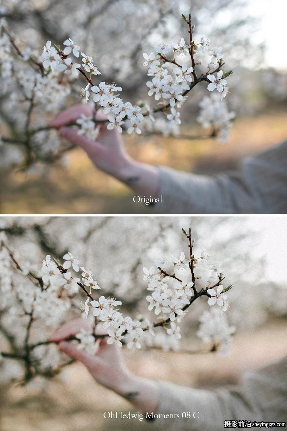 复古清新自然环境人像胶片LR预设 Oh Hedwig Moments – Presets