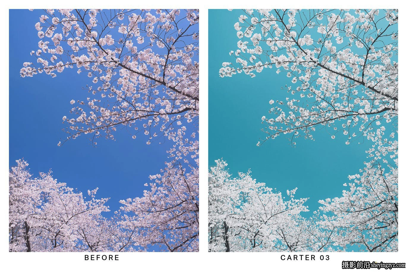 海天风光摄影LR预设视频LUT预设 Azure Lightroom Presets and LUTs