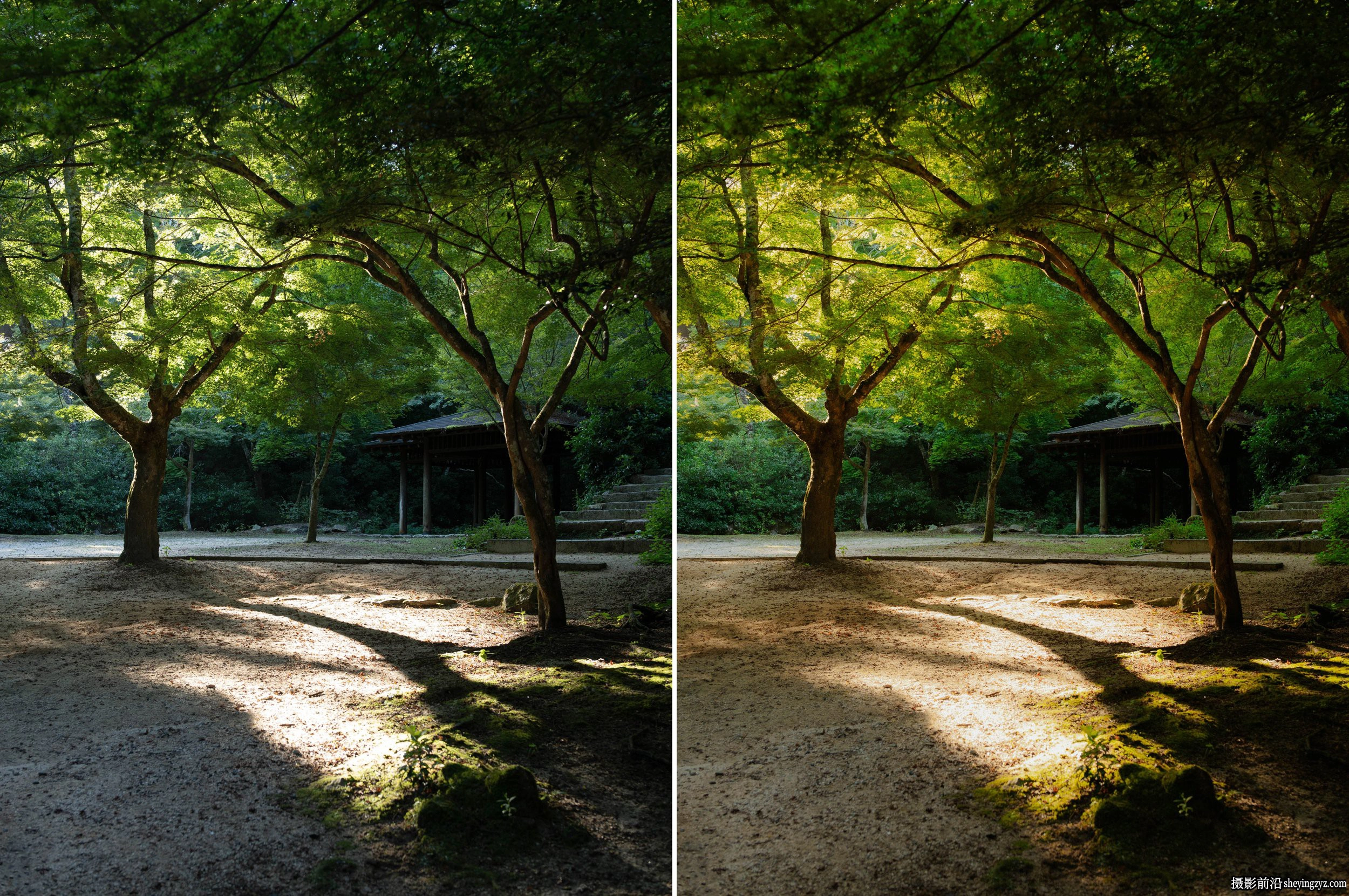 清新日系胶片LR预设ACR预设 Adrien Sanguinetti - V3 Presets