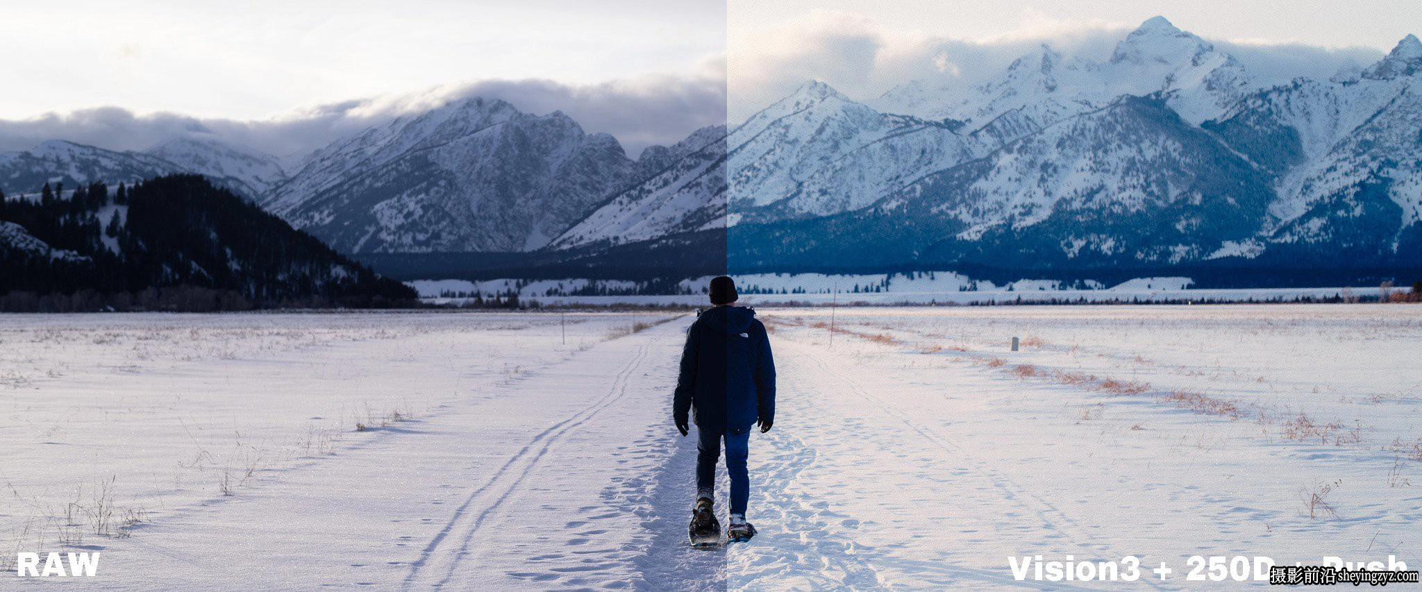 柯达Vision3胶片模拟Capture one预设Very Good Presets-VGP VISION3