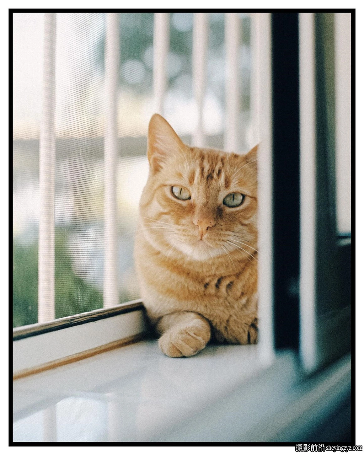 经典魅力一键式真实胶片Capture One飞思调色预设 ClassicFilm 2 Pro