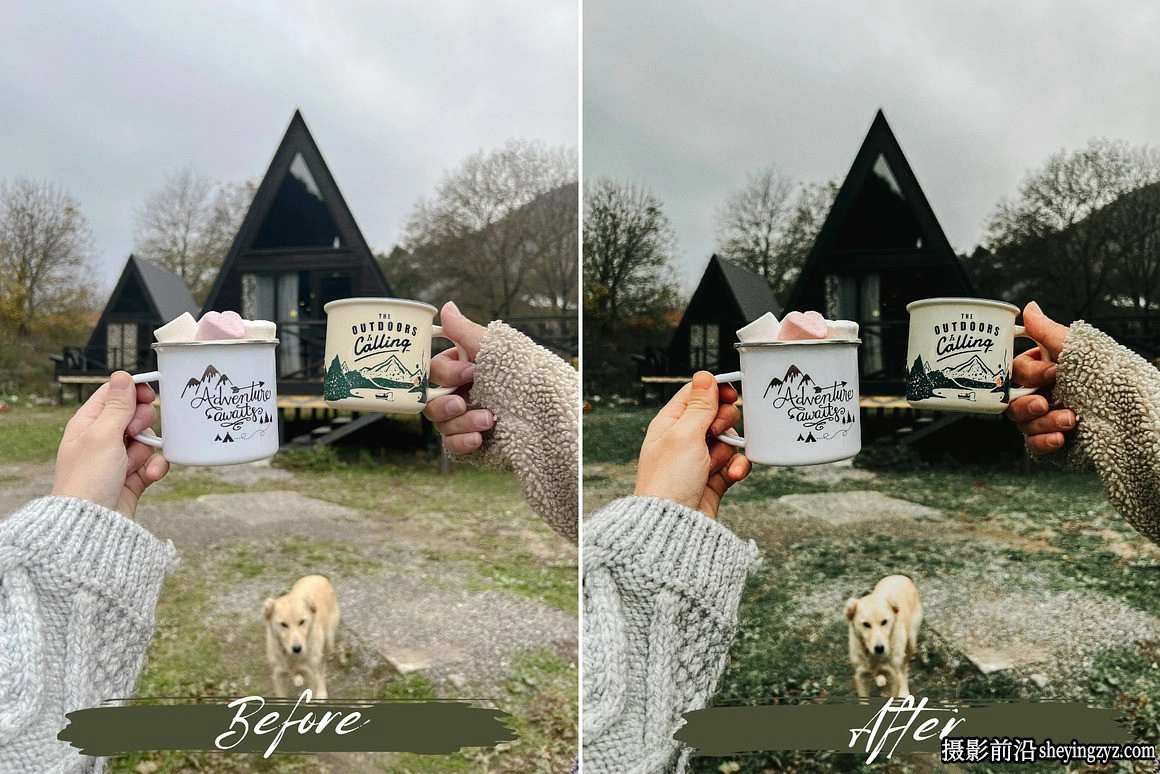 绿色调情绪人像LR预设及手机LR预设 Sage Green Lightroom Presets
