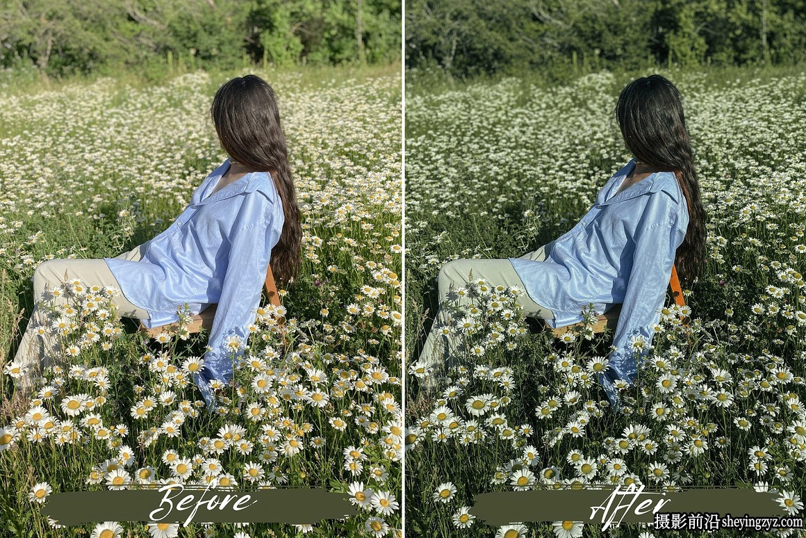 绿色调情绪人像LR预设及手机LR预设 Sage Green Lightroom Presets