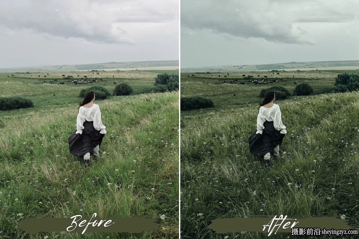 绿色调情绪人像LR预设及手机LR预设 Sage Green Lightroom Presets