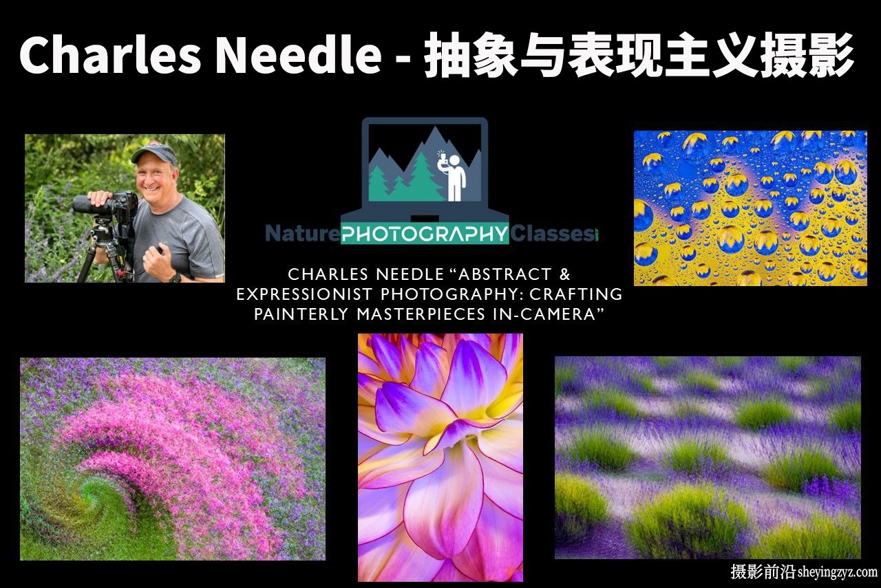 查尔斯·尼德尔(Charles Needle)抽象与表现主义摄影教程-中英字幕