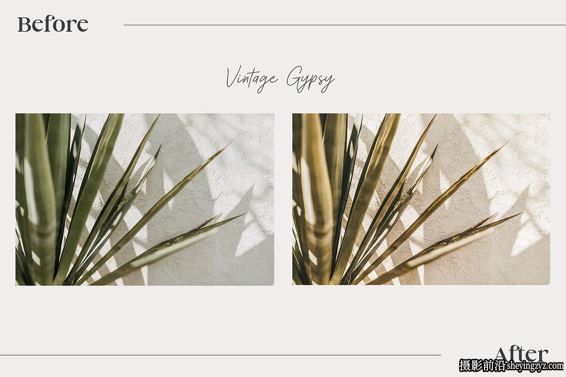 波西米亚电影人像LR预设手机lr预设 Bohemian lightroom Presets