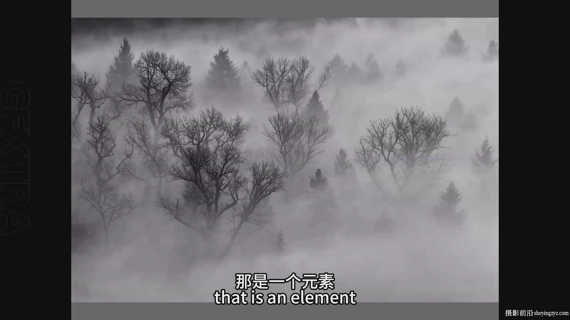 风光摄影师Adrian Klein森林风光摄影完整指南教程-中英字幕