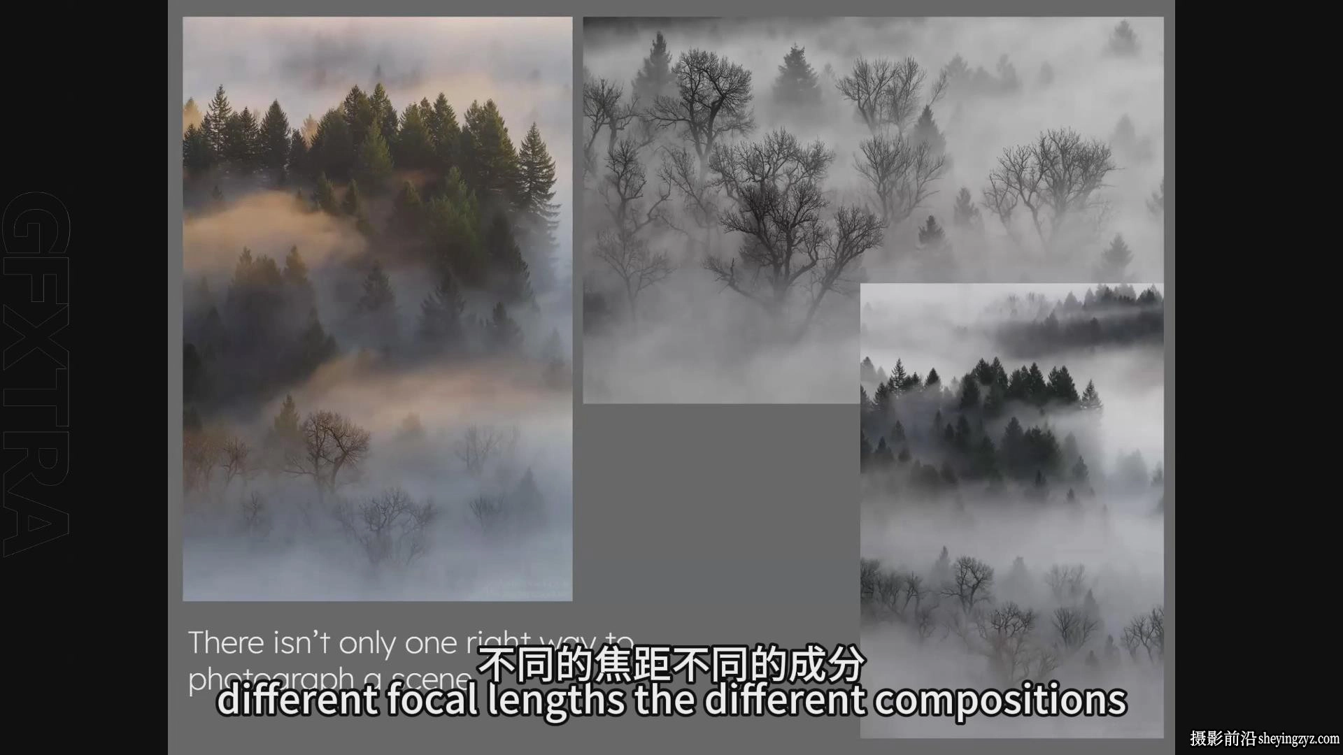 风光摄影师Adrian Klein森林风光摄影完整指南教程-中英字幕