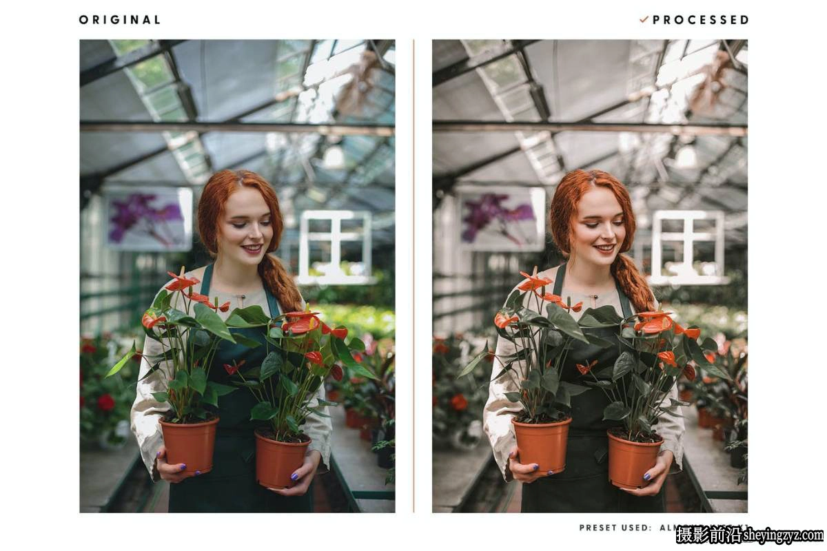 杏仁色电像人像LR预设及手机LR预设 Almond Kiss Actions &amp; Presets