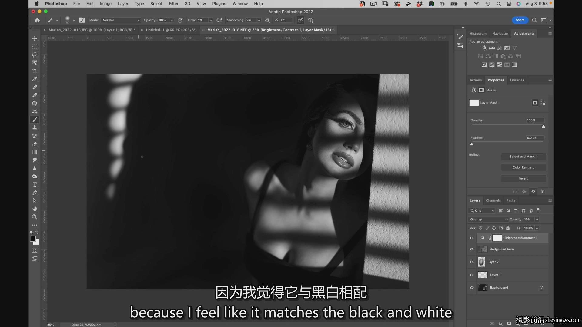 Jerry Ghionis - Kristina Sherk黑白肖像修饰大师班教程-中英字幕