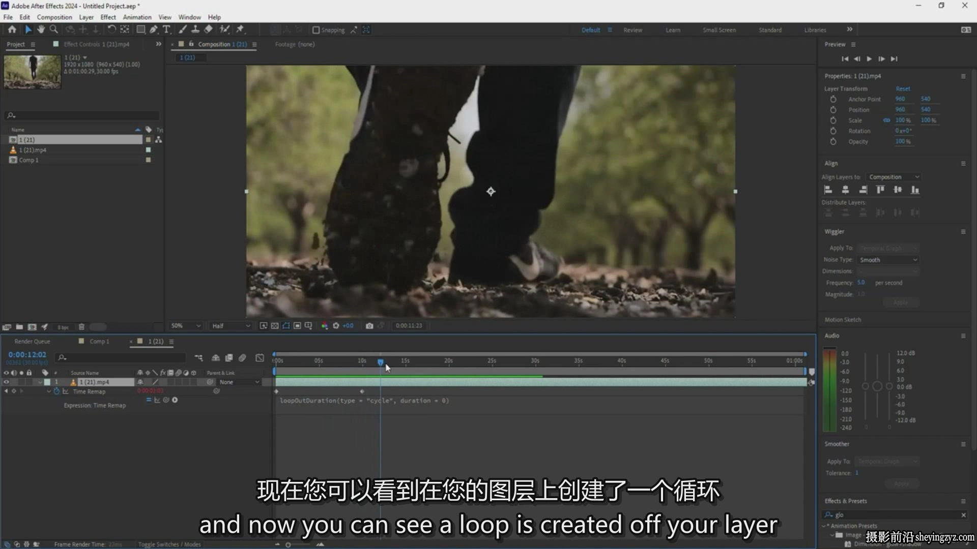 学习After Effects 2024动画.3D视觉效果和VFX合成教程-中英字幕