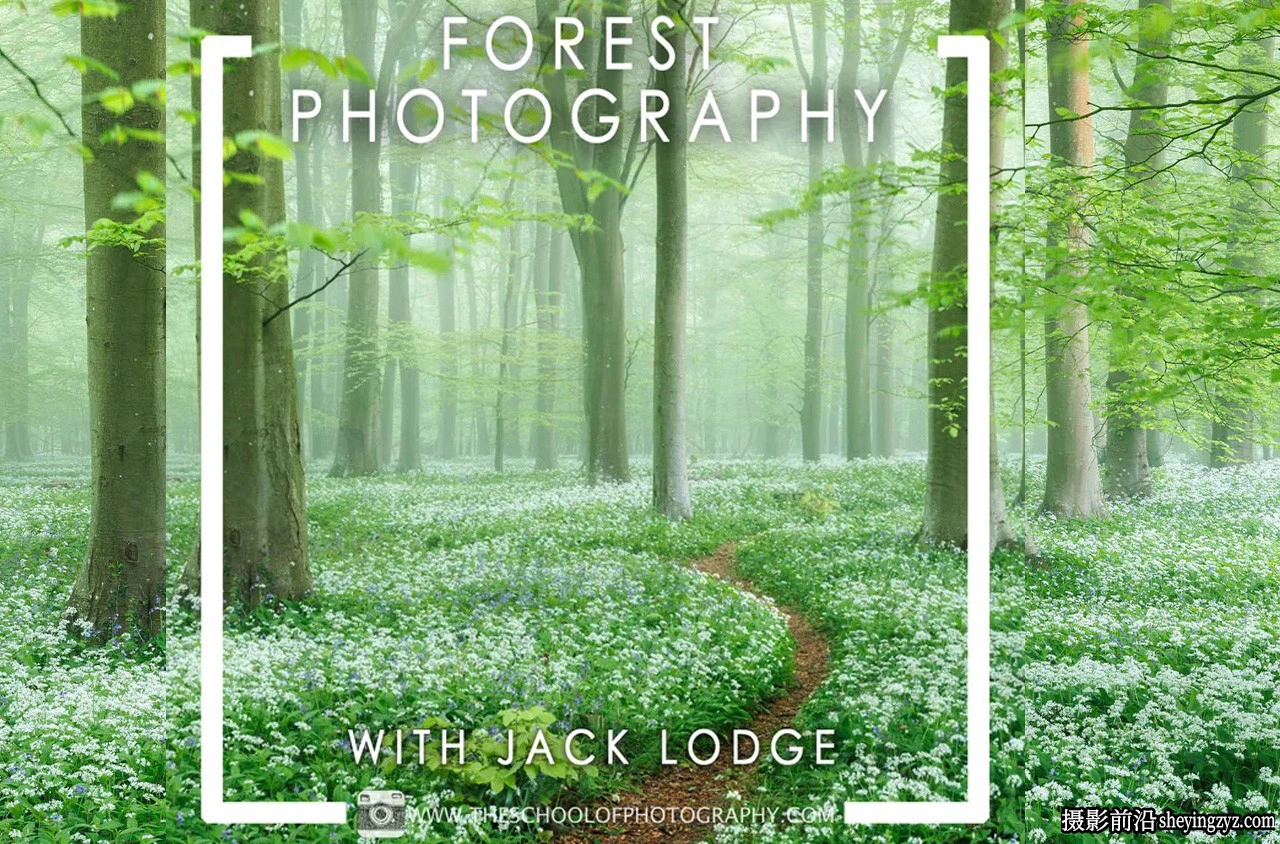摄影师Jack Lodge森林林地摄影构图及后期修图完整教程-中英字幕