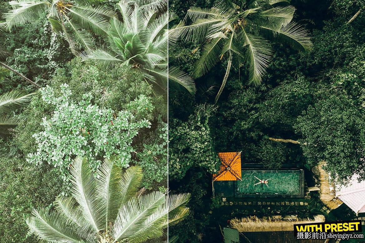巴厘岛森系电影风光LR预设 ARTA - Bali Green Lightroom Presets