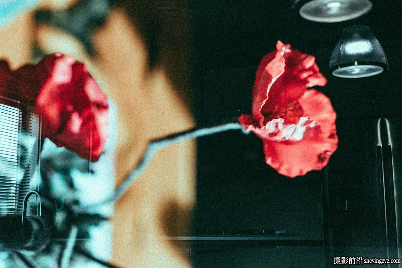 摄影师Ryan McKinnon温暖梦幻LR预设 Warm When Presets