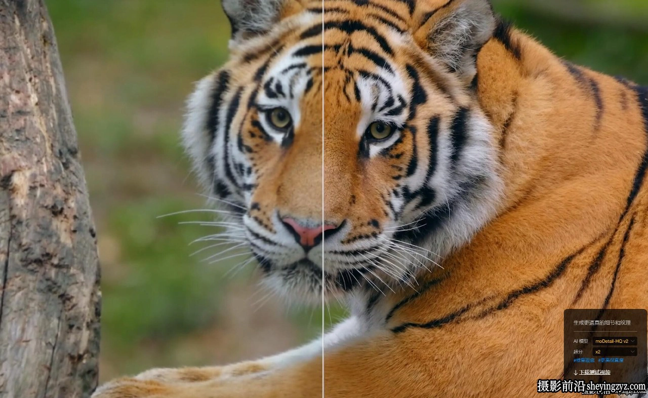 Aiarty Video Enhancer for Mac v2.5 AI视频放大降噪增强软件