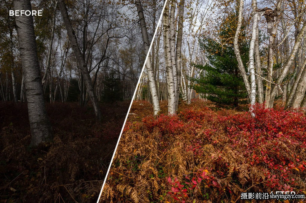 适用于风景摄影师的LR预设和画笔 FilterGrade Landscape Legends