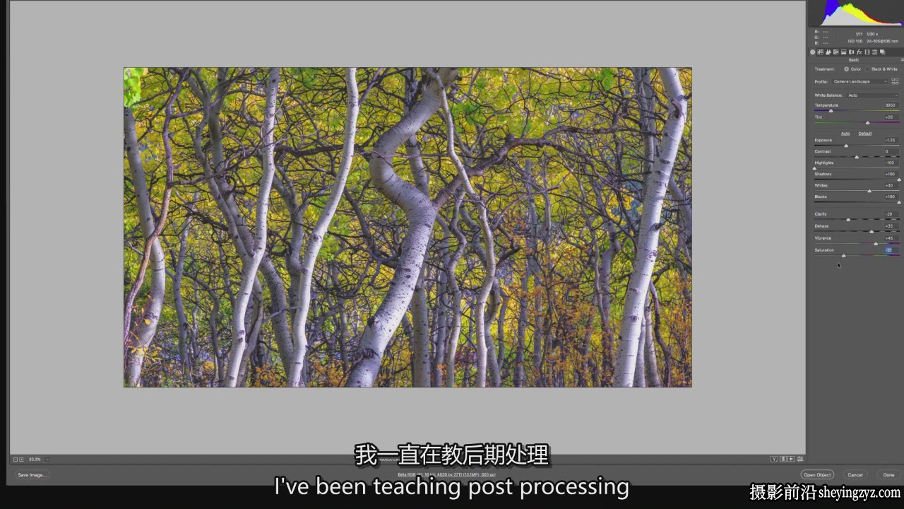摄影师Mark Metternich精通Camera RAW和Lightroom RAW教程-中英字幕