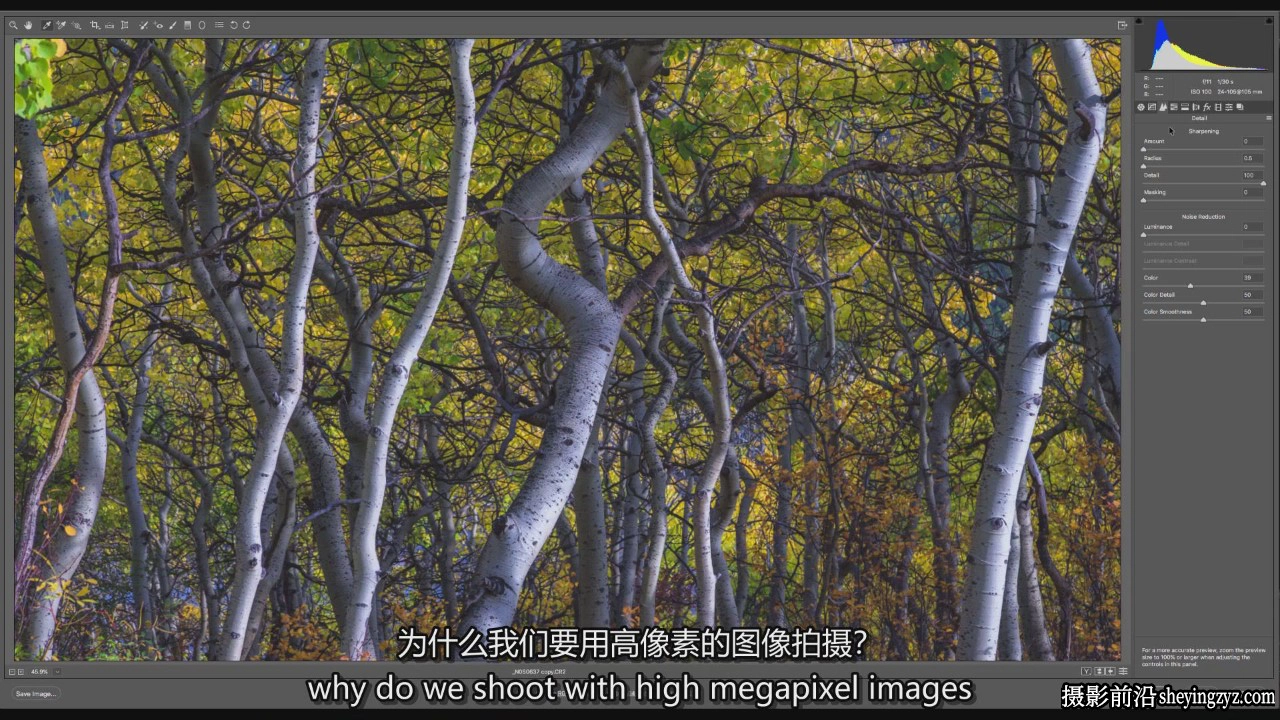 摄影师Mark Metternich精通Camera RAW和Lightroom RAW教程-中英字幕