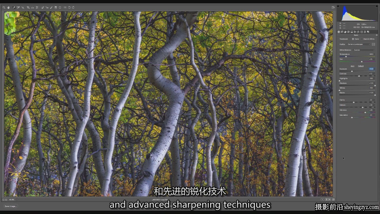 摄影师Mark Metternich精通Camera RAW和Lightroom RAW教程-中英字幕