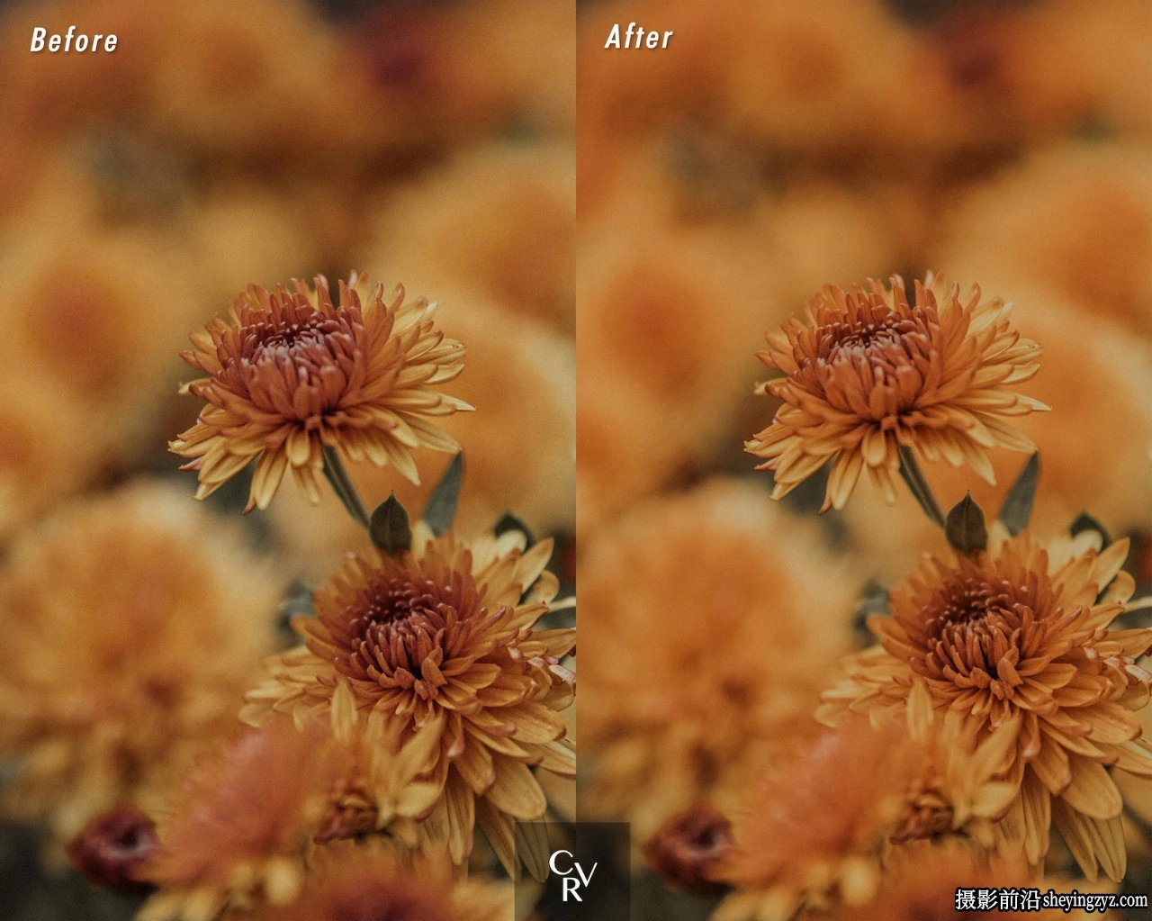 25个暖光LR预设及手机LR预设 CVRPresets - Warm Lightroom Presets