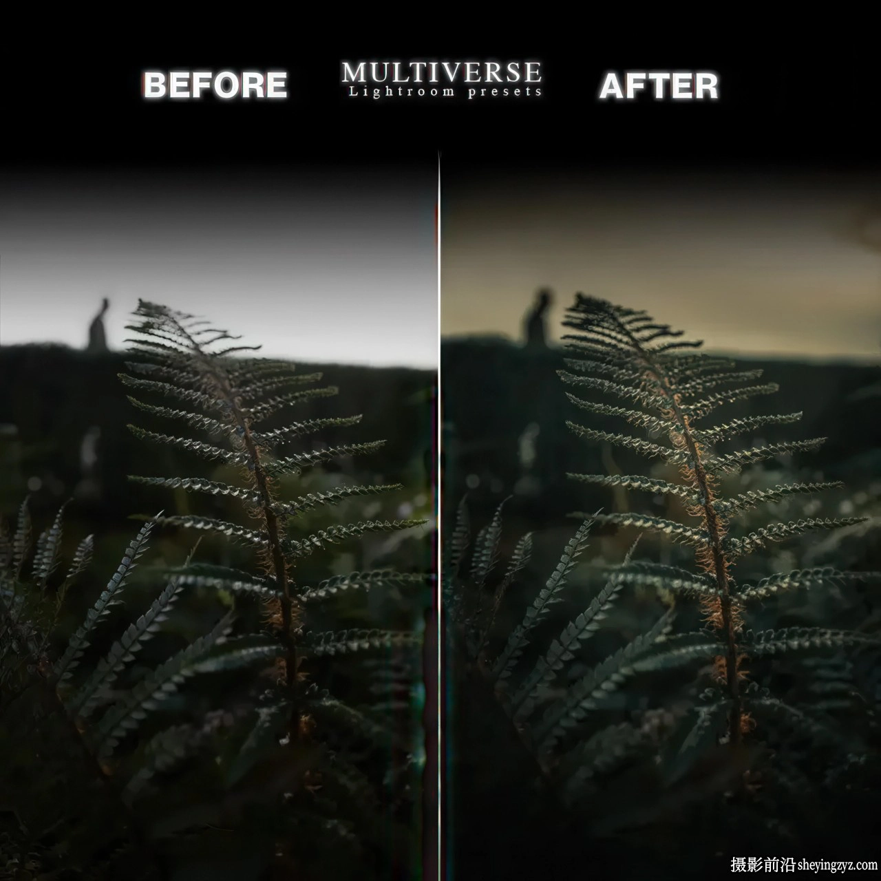 电影LR预设包 Pattakes Pictures - Multiverse Cinematic Presets