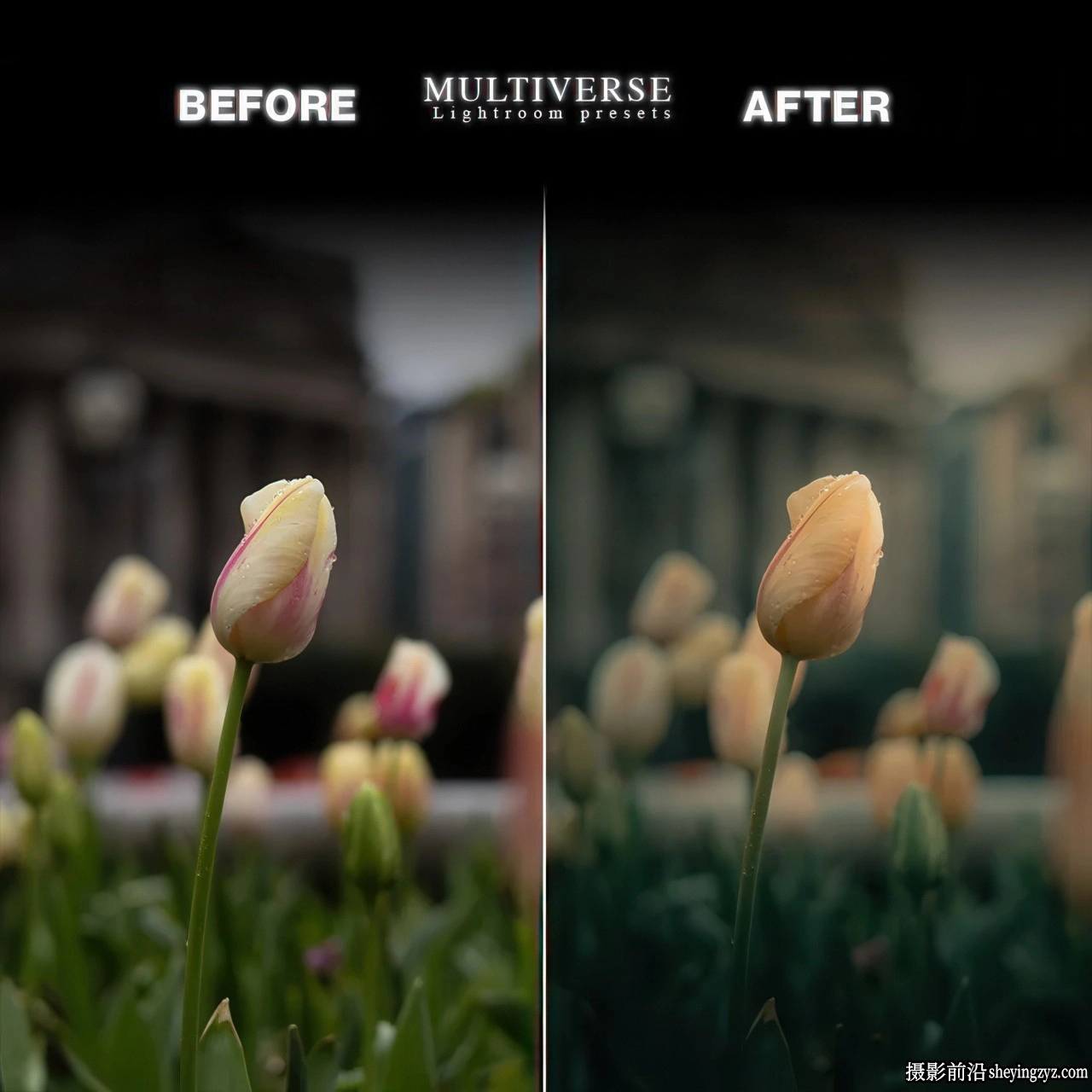 电影LR预设包 Pattakes Pictures - Multiverse Cinematic Presets