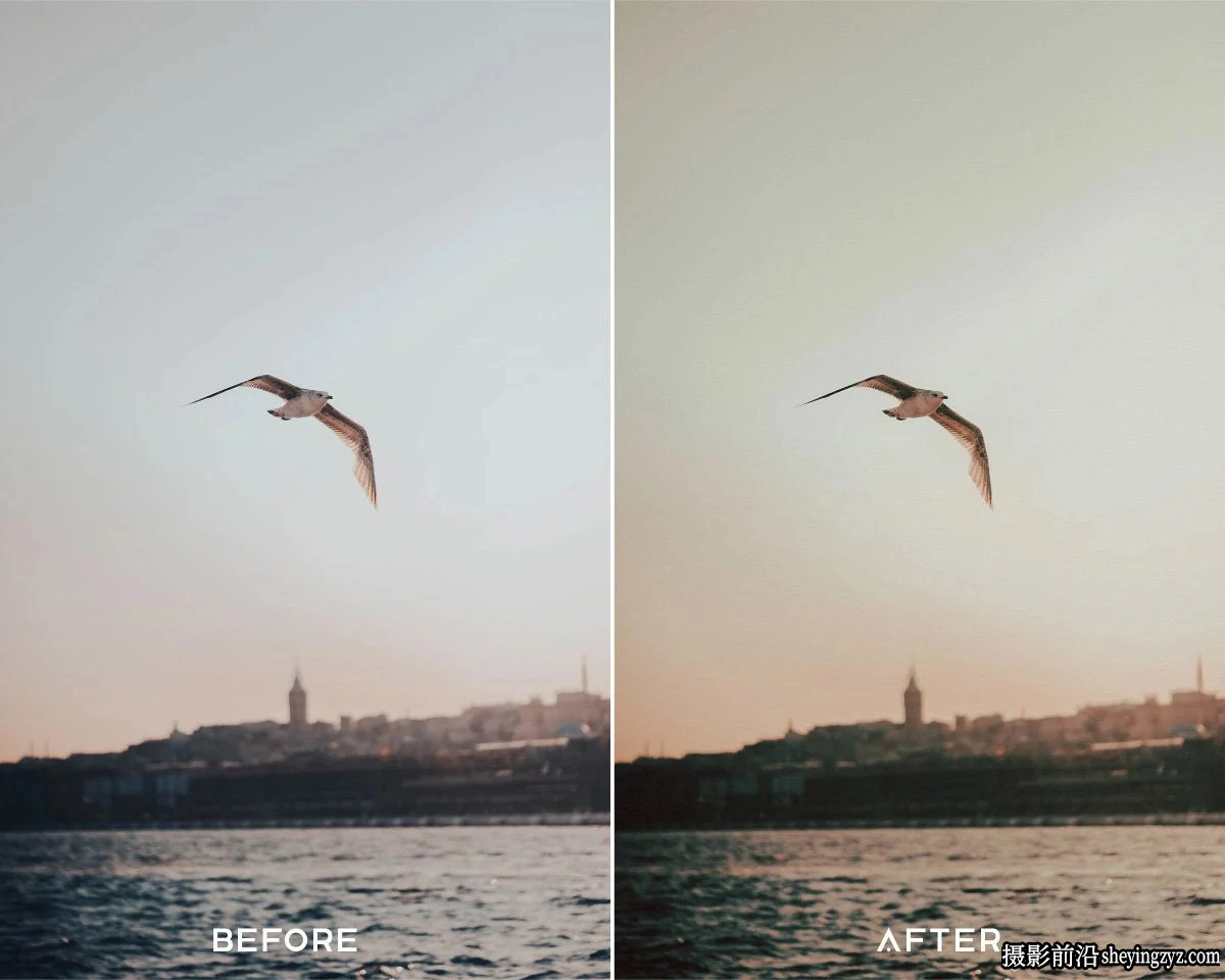 35mm仿真胶片LR预设合集 Presets.io - 35MM Preset Collection