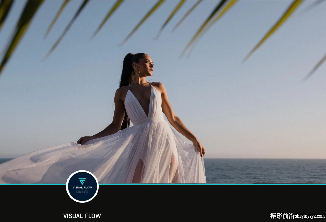 纯净婚礼AI自适应预设DVLOP+The Pure Pack+AI Retouching Toolkit